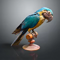 Modern Parrot Xuan Feng Parrot Budgie Shang Parrot 3d model