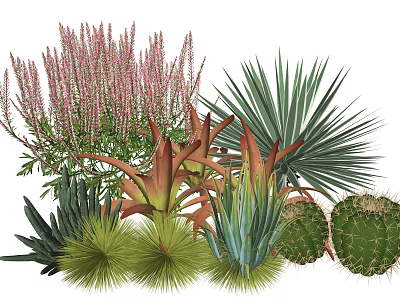 Diverse Plant Combination With Pink Spiky Flowers Red Tipped Leaves Large Green Foliage And Succulents 3d model