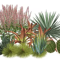 Diverse Plant Combination With Pink Spiky Flowers Red Tipped Leaves Large Green Foliage And Succulents