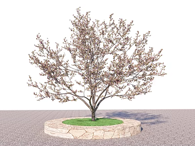 Tree Featuring Slender Trunk Sparse Branches Circular Stone Base Green Grass And Gray Paved Ground 3d model