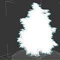 Lush Green Pine Tree With Dense Foliage And Straight Trunk In White Background