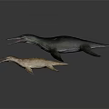 Prehistoric Aquatic Reptile Models With Long Snouts In Different Colors