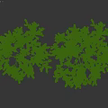 Blooming Garden Trees With Pink Flowers White Blossoms And Green Leaves