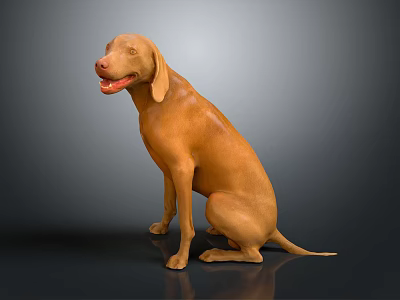 Brown Dog Sitting On Reflective Surface With Dark Background In 3D Render 3d model