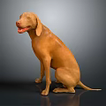 Brown Dog Sitting On Reflective Surface With Dark Background In 3D Render 3d model