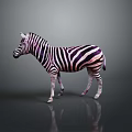 Game and Movie Character Zebra with Black White Stripes Standing on Gray Background with Reflection