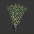 Stunning Peacock Displaying Vibrant Green Blue Feathers With Fanned Tail Eye Spots