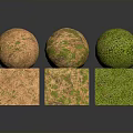 Three Textured Spheres and Cubes with Green and Brown Mossy Surfaces in 3D Render