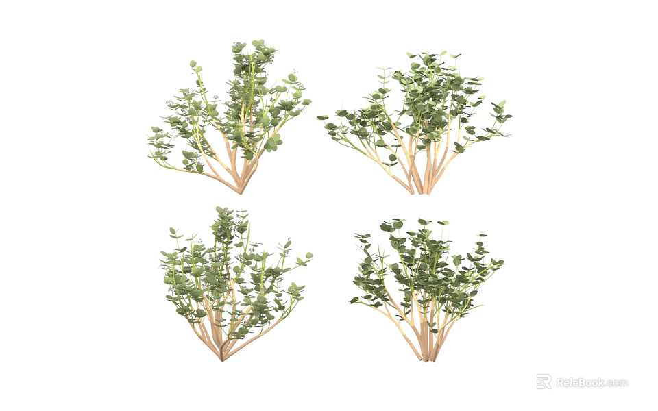 Four Clusters of Green Shrubs with Thin Branches and Lush Leaves in Natural Growth 3d model 