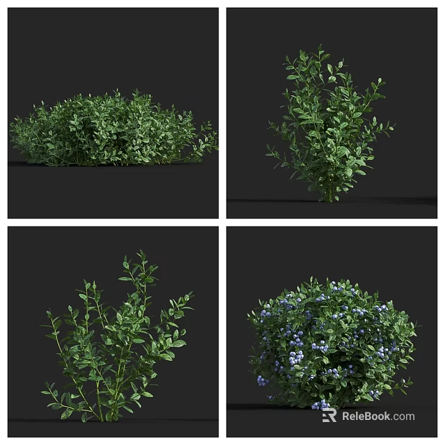 Lush Green Arbor With Dense Foliage And Blue Blossoms In Multiple Perspectives 3d model 
