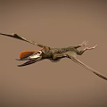 Flying Pterosaur With Large Wings Long Beak And Orange Head In Flight