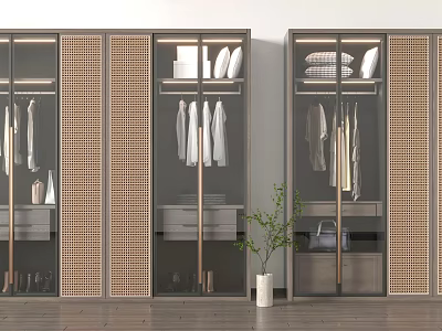 Modern Wardrobe With Sliding Glass Doors Clothing Racks Shelves And Potted Plant 3d model
