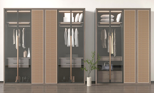 Modern wardrobe combination 3d model