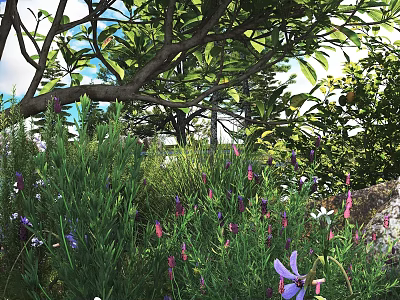 Lush Garden Bushes with Purple Flowers and Green Leaves Under Sunlight 3d model