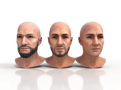 Three Male Head Models Displaying Different Facial Features And Beard Styles 3d model