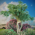 Pink Flowering Shrub In Coastal Landscape With Green Tree And Blue Sky