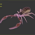 Realistic Scorpion With Large Pincers Segmented Body And Reflective Surface 3d model