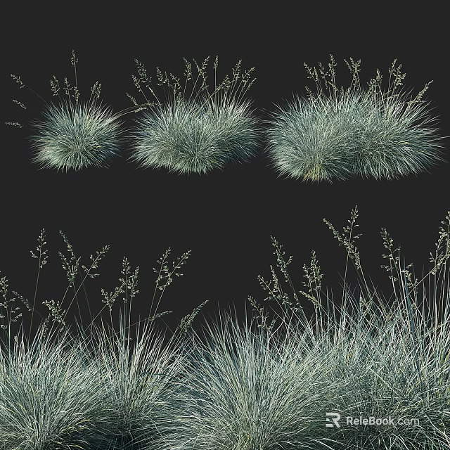 Blue Green Shrubs with Slender Leaves Various Shapes for Natural Garden Landscaping 3d model 