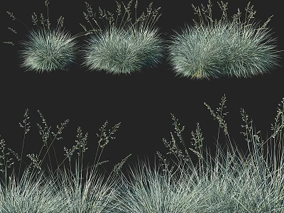 Blue Green Shrubs with Slender Leaves Various Shapes for Natural Garden Landscaping 3d model