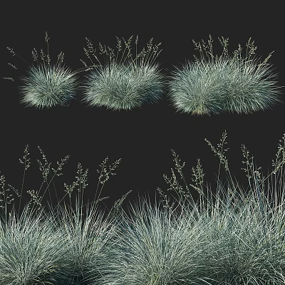 Blue Green Shrubs with Slender Leaves Various Shapes for Natural Garden Landscaping 3d model