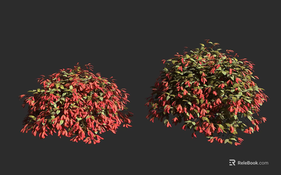 Two Lush Shrubs With Vibrant Red Flowers And Green Foliage In Garden 3d model 
