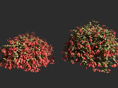 Two Lush Shrubs With Vibrant Red Flowers And Green Foliage In Garden 3d model