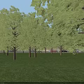 Aerial Planning of Modern Building Complex With Green Roofs Central Square Surrounding Roads and Trees