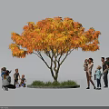 Beautiful Orange Red Leaf Tree With Families Enjoying Outdoor Activities On Green Lawn