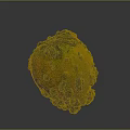 Fresh Yellow Green Bumpy Pumpkin For Healthy Cooking And Nutritious Recipes
