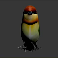 Colorful Bird With Red Head Yellow Throat And Green Back Standing On Black Background