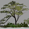 Tall Arbor With Dense Foliage And Smaller Tree Surrounded By Green Shrubs 3d model