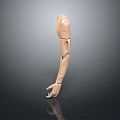 Robot Arm Mechanical Arm Robot Arm Robot Head Robot Parts Robot Hand Manipulator 3d model