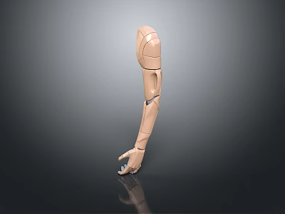 Robot Arm Mechanical Arm Robot Arm Robot Head Robot Parts Robot Hand Manipulator 3d model