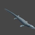 Prehistoric Marine Reptile 3D Model With Long Snout And Sharp Teeth 3d model