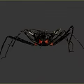 Assassin Bug With Black And White Body Red Spots Long Legs On Dark Background