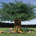 Tall Arbor With Thick Trunk Green Leaves And Mushrooms On Grassland