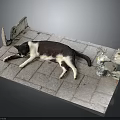 Black and White Cat Lying on Brick Pavement with Broken Cement Edges and Plastic Bottle