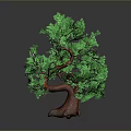 Ornamental Green Tree With Lush Green Leaves Brown Trunk And Pink Small Flowers