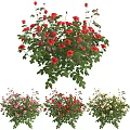 Beautiful Vase with Pink Red Yellow Flowers and Green Leaves for Home Decor