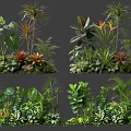 Lush Tropical Plant Combinations With Varied Foliage And Vibrant Greenery