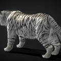 Realistic White Tiger With Striped Fur Standing In Black Background And Detailed Paws