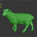 Beautiful White Sheep with Curly Fleece Standing on Gray Background 3d model
