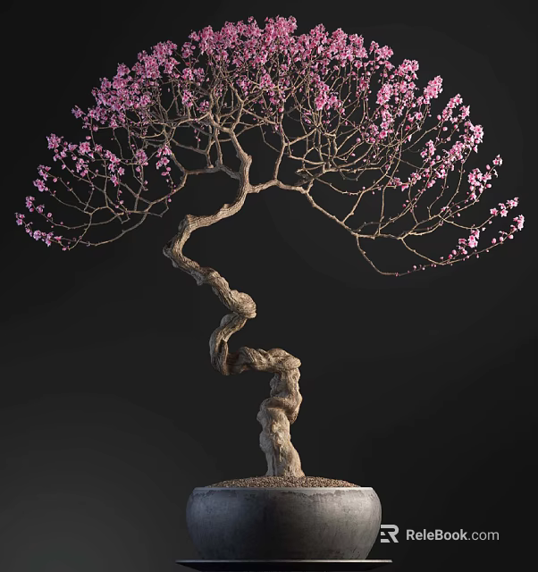 Elegant Bonsai Plant With Twisted Trunk And Pink Flowers 3d model 