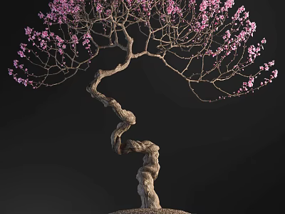 Elegant Bonsai Plant With Twisted Trunk And Pink Flowers 3d model