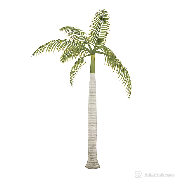 Tall Palm Tree With Striped Trunk And Green Feathery Fronds 3d model 