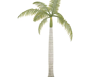 Tall Palm Tree With Striped Trunk And Green Feathery Fronds 3d model