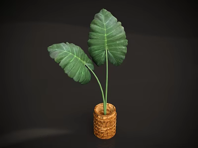 Green Bonsai Plant With Large Green Leaves In Brown Textured Cylindrical Pot On Dark Background 3d model