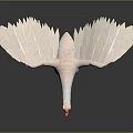 White Goose With Spread Wings Orange Beak And Orange Feet Standing On Dark Background
