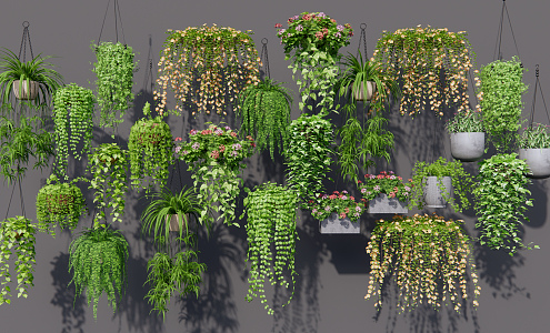 Modern hanging basket vine hanging basket 3d model