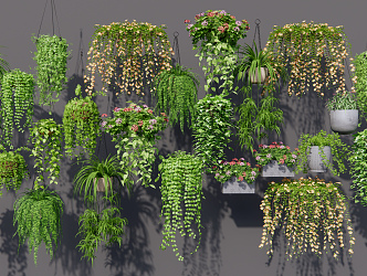 Modern hanging basket vine hanging basket 3d model